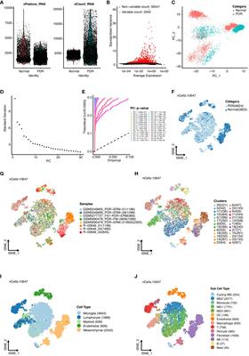 Unveiling the molecular complexity of proliferative diabetic retinopathy through scRNA-seq, AlphaFold 2, and machine learning